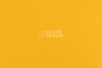 Линолеум Forbo SportLine Standart Fr 1070 фото 1 | FLOORDEALER